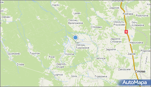 mapa Ostrowy Tuszowskie, Ostrowy Tuszowskie na mapie Targeo